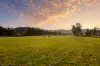 Martindale Road, Denman, NSW 2328-Image