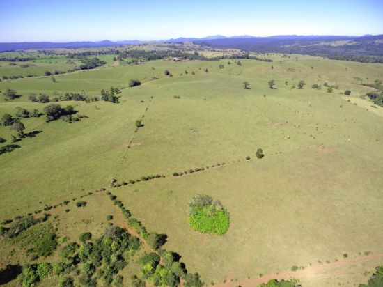 , Millaa Millaa QLD 4886-Image