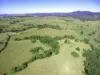 , Millaa Millaa QLD 4886-Image
