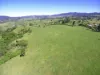 , Millaa Millaa QLD 4886-Image