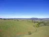 , Millaa Millaa QLD 4886-Image