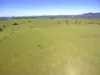 , Millaa Millaa QLD 4886-Image