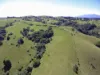 , Millaa Millaa QLD 4886-Image