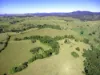 , Millaa Millaa QLD 4886-Image