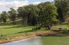 "Mount Albion" 203 Collingwood Road, Hampton QLD 4352-Image