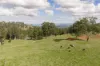 "Mount Albion" 203 Collingwood Road, Hampton QLD 4352-Image