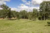 "Mount Albion" 203 Collingwood Road, Hampton QLD 4352-Image