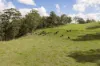 "Mount Albion" 203 Collingwood Road, Hampton QLD 4352-Image