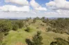 "Mount Albion" 203 Collingwood Road, Hampton QLD 4352-Image