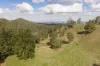 "Mount Albion" 203 Collingwood Road, Hampton QLD 4352-Image