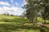 "Mount Albion" 203 Collingwood Road, Hampton QLD 4352-Image