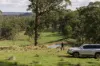 "Mount Albion" 203 Collingwood Road, Hampton QLD 4352-Image