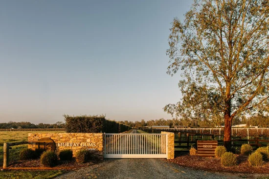 'Murray Gums'  1269 Perricoota Road, Moama, NSW 2731 - For Sale