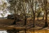 'Murray Gums'  1269 Perricoota Road, Moama, NSW 2731-Image