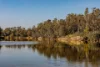 'Murray Gums'  1269 Perricoota Road, Moama, NSW 2731-Image