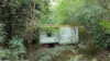 OFF RED GAP Road, Mulgowie QLD 4341-Image