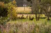 "Overberg" 3697 Esk Hampton Road, Ravensbourne QLD 4352-Image