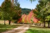 "Overberg" 3697 Esk Hampton Road, Ravensbourne QLD 4352-Image