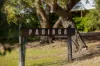 "Paringa", 7365 Talwood, Mungindi NSW 2406-Image