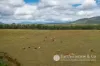 Parsons Gate Road, Frazerview, Qld 4309-Image