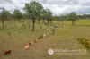 Parsons Gate Road, Frazerview, Qld 4309-Image
