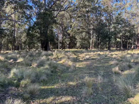 Part 9174 Thunderbolts Way, Nowendoc, NSW 2354