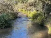 Part 9174 Thunderbolts Way, Nowendoc, NSW 2354-Image