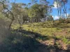 Part 9174 Thunderbolts Way, Nowendoc, NSW 2354-Image