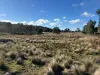 Part 9174 Thunderbolts Way, Nowendoc, NSW 2354-Image