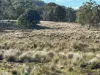 Part 9174 Thunderbolts Way, Nowendoc, NSW 2354-Image