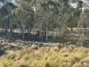 Part 9174 Thunderbolts Way, Nowendoc, NSW 2354-Image