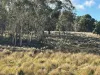 Part 9174 Thunderbolts Way, Nowendoc, NSW 2354-Image