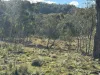 Part 9174 Thunderbolts Way, Nowendoc, NSW 2354-Image