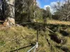 Part 9174 Thunderbolts Way, Nowendoc, NSW 2354-Image