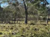 Part 9174 Thunderbolts Way, Nowendoc, NSW 2354-Image