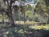 Part 9174 Thunderbolts Way, Nowendoc, NSW 2354-Image