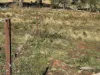 Part 9174 Thunderbolts Way, Nowendoc, NSW 2354-Image