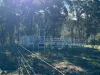 Part 9174 Thunderbolts Way, Nowendoc, NSW 2354-Image