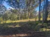 Part 9174 Thunderbolts Way, Nowendoc, NSW 2354-Image