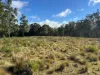 Part 9174 Thunderbolts Way, Nowendoc, NSW 2354-Image