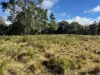 Part 9174 Thunderbolts Way, Nowendoc, NSW 2354-Image