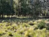 Part 9174 Thunderbolts Way, Nowendoc, NSW 2354-Image