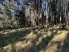 Part 9174 Thunderbolts Way, Nowendoc, NSW 2354-Image
