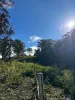 Part 9174 Thunderbolts Way, Nowendoc, NSW 2354-Image