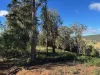 Part 9174 Thunderbolts Way, Nowendoc, NSW 2354-Image