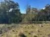 Part 9174 Thunderbolts Way, Nowendoc, NSW 2354-Image