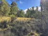 Part 9174 Thunderbolts Way, Nowendoc, NSW 2354-Image