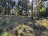 Part 9174 Thunderbolts Way, Nowendoc, NSW 2354-Image