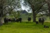 'Pemberley' 57 Bunyarra Lane, Orange NSW 2800-Image