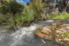 'Pemberley' 57 Bunyarra Lane, Orange NSW 2800-Image